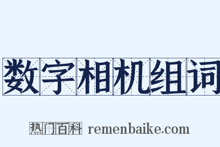 数字相机组词是什么意思的图片